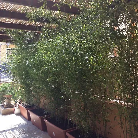 Bed & Breakfast Casa Tacconi 3*