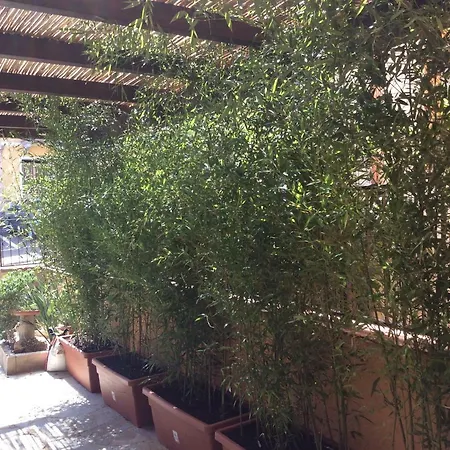 Bed and Breakfast Casa Tacconi 4*