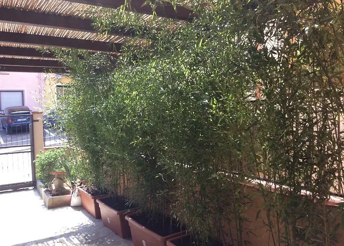 Bed & Breakfast Casa Tacconi 3*